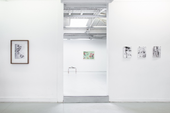 Galerie_Papillon_-_02.jpg, juin 2018 le_cerf_emmanuel_HD.jpg