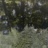 Fouge_res_1__2023_07879PER.jpg