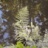 Fouge_res__2_2023_07880PER.jpg