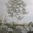 Petits_hortillonnages__1_2023_07881PER.jpg