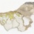 Sans_titre__Algerie__2017_05976BOC__JcLett_copie.jpg