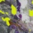 Aqua_2020_06925PER.jpg