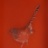Avibus_et_cera_2_07355PER.jpg