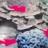 Colpophyllia_2020_06928PER.jpg