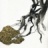G2_Tetrameles_nudiflora_2018_06431PER_NET.jpg