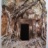 Hopea_Odorata__5_2019_06629PER.jpg