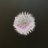 Hybride__5_2023_07763PER.jpeg