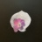 Hybride__6_2023_07764PER.jpeg
