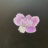 Hybride__9_2023_07767PER.jpeg