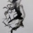 I5_Tetrameles_nudiflora_2018_06449PER_NET.jpg