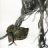 J3_Tetrameles_nudiflora_2018_06428PER_NET.jpg