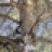 PERIA_Je_garde_ta_voix_accroche_e_au_silence__2023_07961PER.jpg