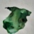 Souche_marine_10_2020_06839PER.jpg