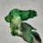 Souche_marine_11_2020_06840PER.jpg