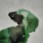 Souche_marine_13_2020_06842PER.jpg