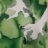 Souche_marine_3_2019_06833PER.jpg.jpg