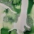 Souche_marine_5_2019_06834PER.jpg.jpg