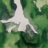 Souche_marine_6_2019_06835PER.jpg.jpg
