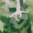 Souche_marine_7_2019_06836PER.jpg.jpg