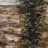 ChansonVerticale_2012-2013_03810TRE_1_net.jpg