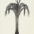 Nice_2009_01517TRE_1_net.jpg